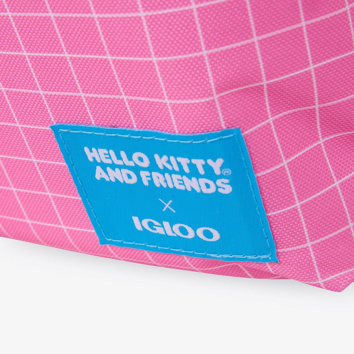 hello-kitty-and-friends-bff-mini-convertible-backpack-cooler-h4 00027591-L.jpg