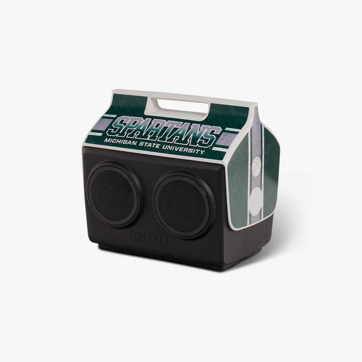 michigan-state-university-kooltunes-r8 00027730-H1.jpg