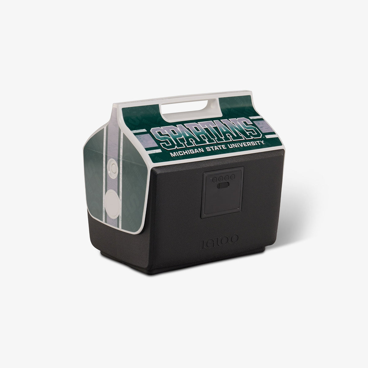 michigan-state-university-kooltunes-r8 00027730-H2.jpg