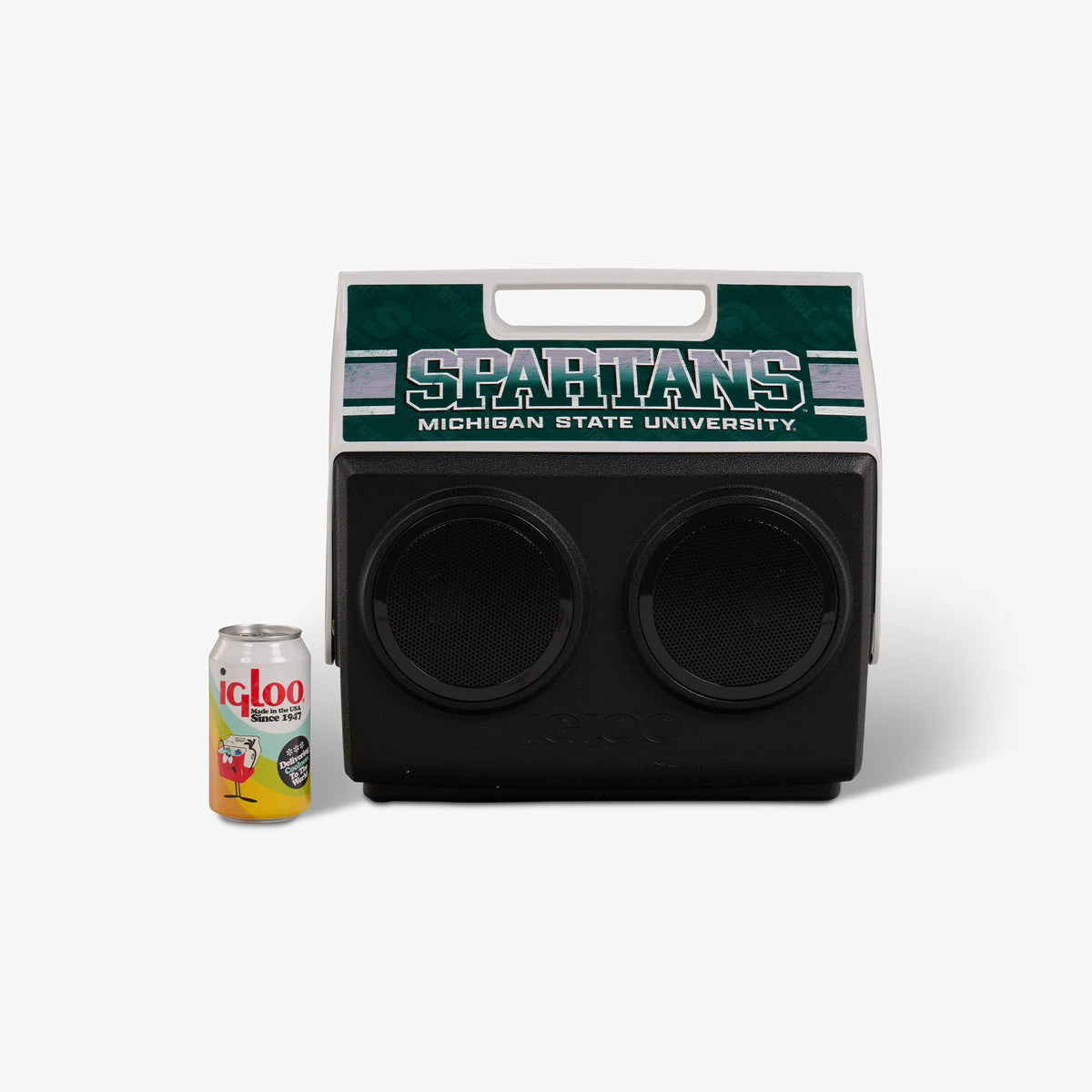 michigan-state-university-kooltunes-r8 00027730-P.jpg