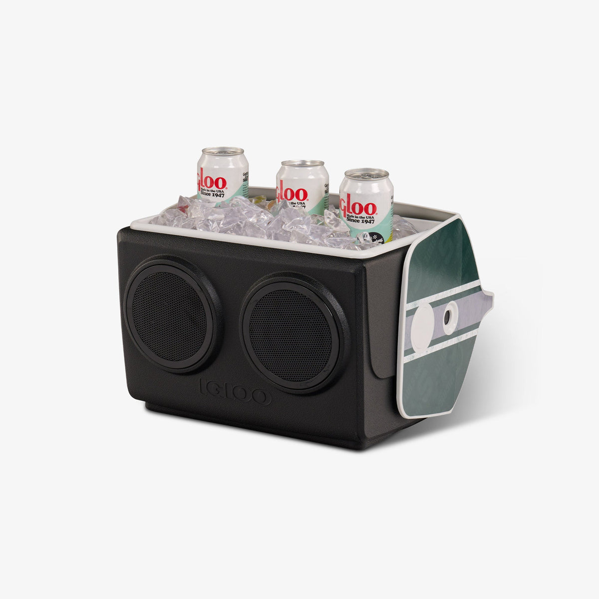 michigan-state-university-kooltunes-r8 00027730-P1.jpg