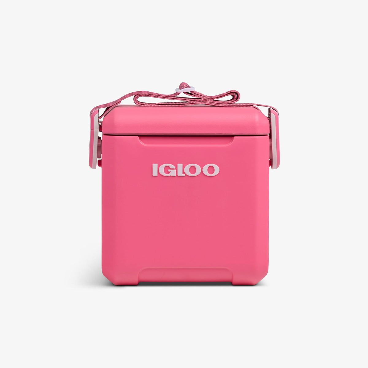 tag-along-too-remix-cooler-a5 00033199-F_b52932ea-89da-4d5d-89b7-a037712c2f16.jpg