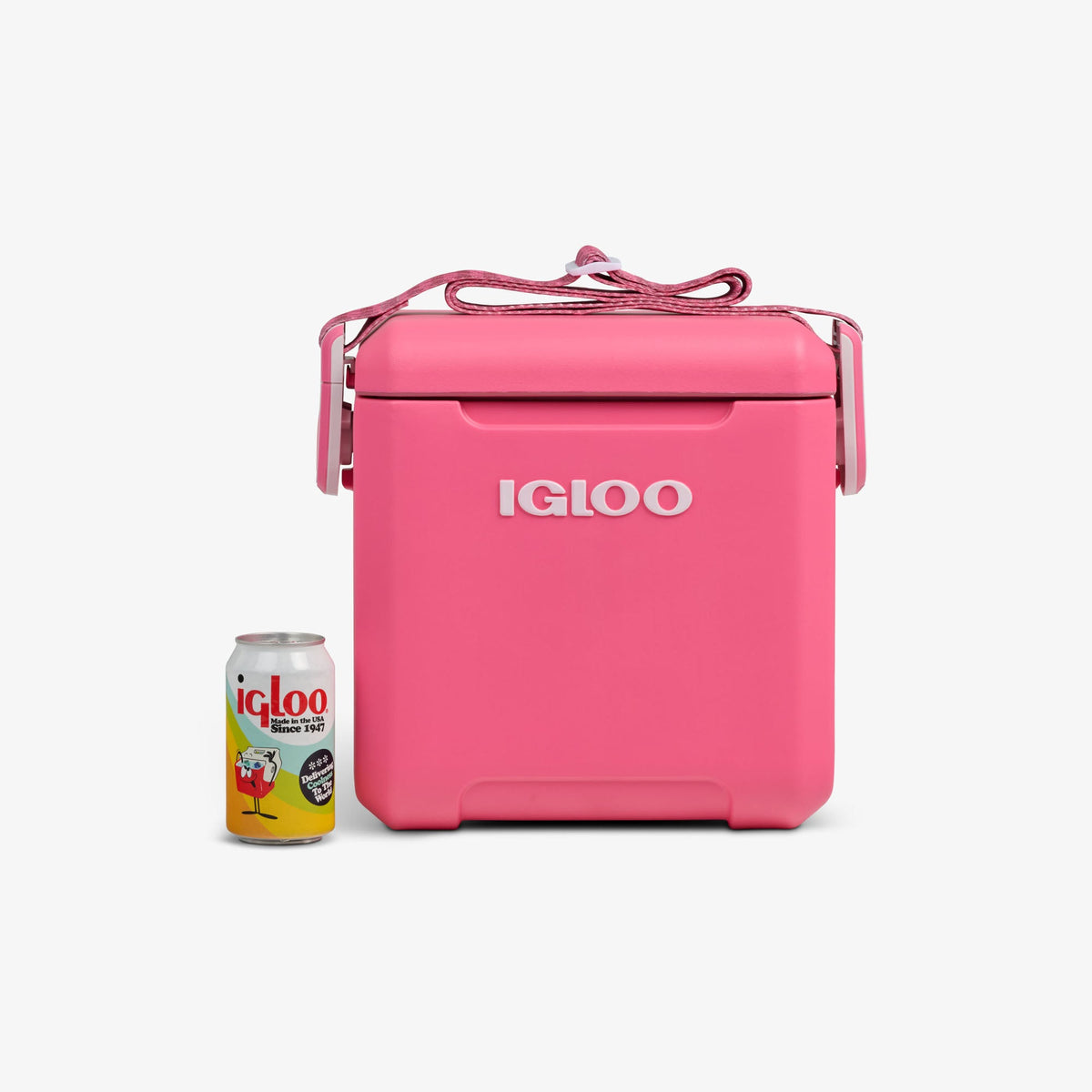 tag-along-too-remix-cooler-a5 00033199-P_861a5cd2-f15c-4217-a471-e33cc3890d9e.jpg