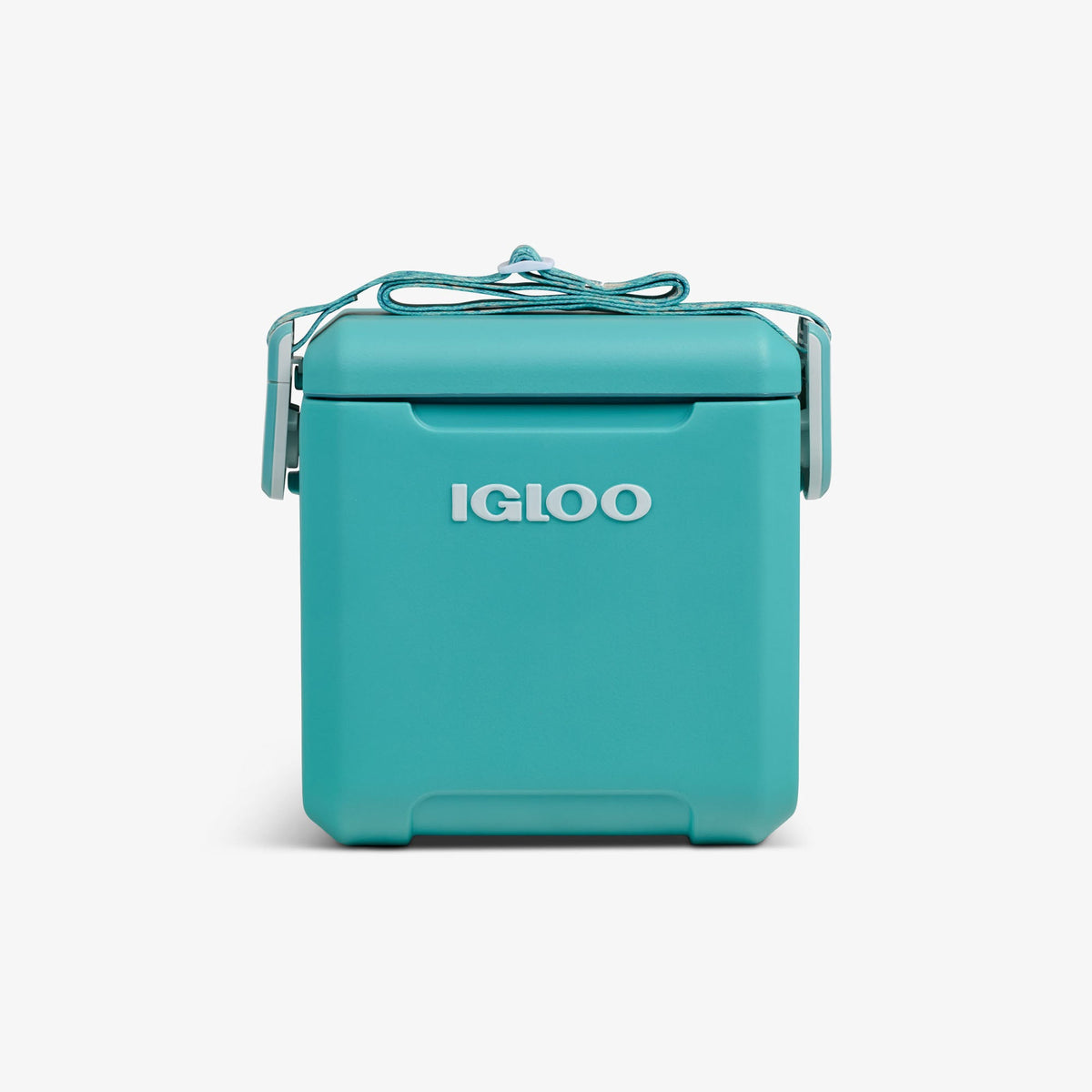 tag-along-too-remix-cooler-a5 00033200-F_d9972b23-cd98-47a8-b50c-62db4379b278.jpg